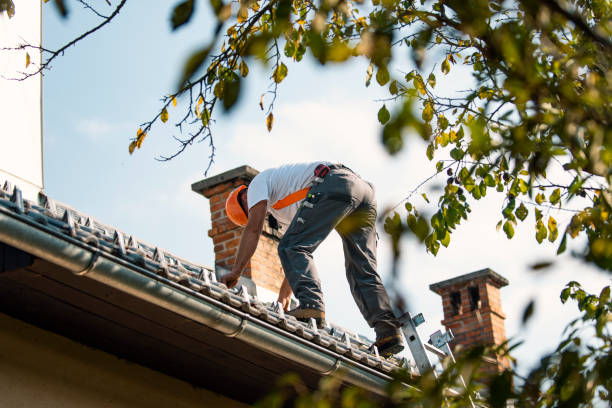 Roof Gutter Cleaning in Marengo, IL